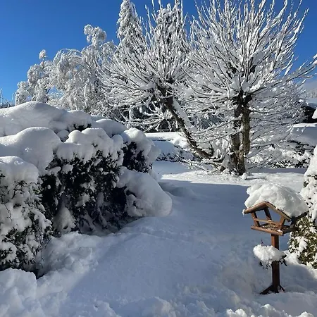 Alpin-garden Appartamento
